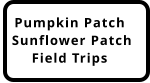 Pumpkin Patch and Field Trips