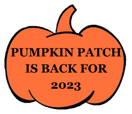 The Pumpkin Patch Is Back For 2021