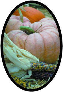 Pink Pumpkins at the Pumpkin Patch